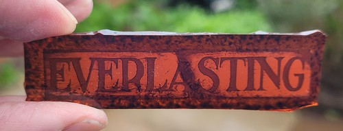 Stained glass everlasting - glass,
